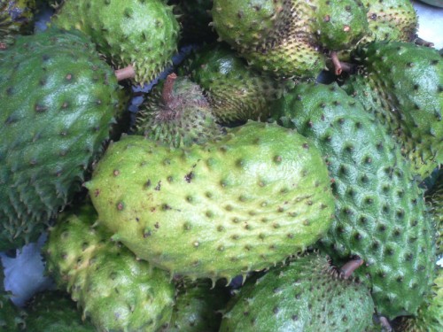 Durian Belanda Ubat Penyakit kanser